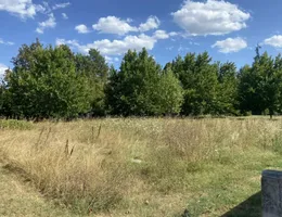 Aste giudiziarie immobiliari online - 3.0