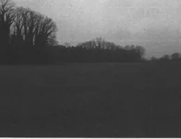 Aste giudiziarie immobiliari online - 12.0