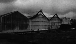 Aste giudiziarie immobiliari online - 5.0