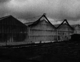 Aste giudiziarie immobiliari online - 6.0