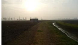 Aste giudiziarie immobiliari online - 8.0