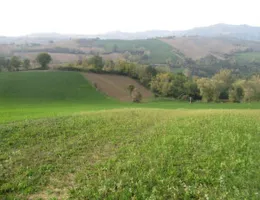 Aste giudiziarie immobiliari online - 8.0