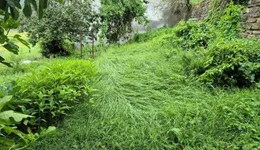 Aste giudiziarie immobiliari online - 6.0