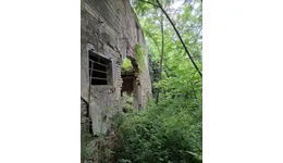 Aste giudiziarie immobiliari online - 10.0