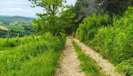 Aste giudiziarie immobiliari online - 6.0