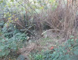 Aste giudiziarie immobiliari online - 4.0