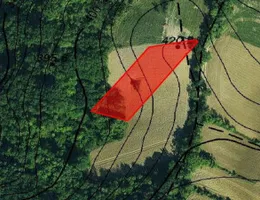 Aste giudiziarie immobiliari online - 5.0