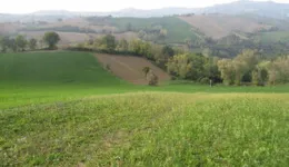 Aste giudiziarie immobiliari online - 7.0