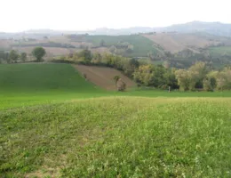 Aste giudiziarie immobiliari online - 7.0