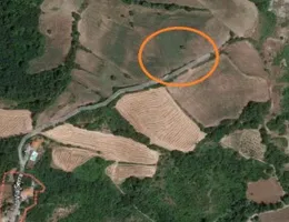 Aste giudiziarie immobiliari online - 6.0