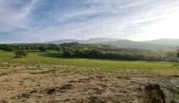 Aste giudiziarie immobiliari online - 5.0