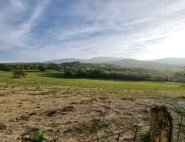 Aste giudiziarie immobiliari online - 5.0