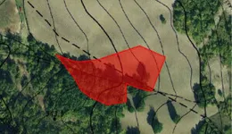 Aste giudiziarie immobiliari online - 6.0