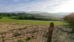 Aste giudiziarie immobiliari online - 6.0