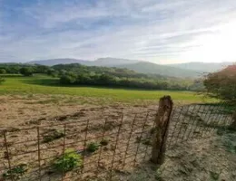 Aste giudiziarie immobiliari online - 6.0