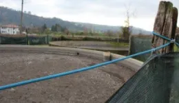 Aste giudiziarie immobiliari online - 1.0