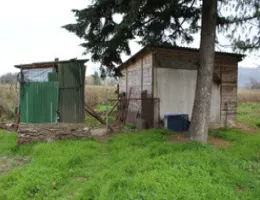 Aste giudiziarie immobiliari online - 8.0