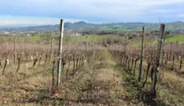 Aste giudiziarie immobiliari online - 3.0