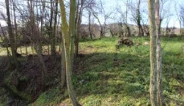 Aste giudiziarie immobiliari online - 1.0