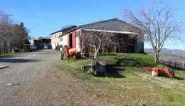 Aste giudiziarie immobiliari online - 4.0