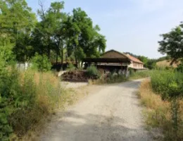 Aste giudiziarie immobiliari online - 1.0