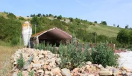 Aste giudiziarie immobiliari online - 5.0