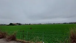 Aste giudiziarie immobiliari online - 2.0