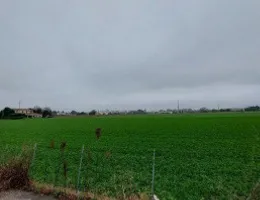 Aste giudiziarie immobiliari online - 10.0