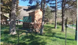 Aste giudiziarie immobiliari online - 6.0