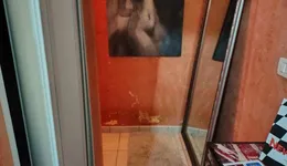 Aste giudiziarie immobiliari online - 6.0