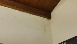 Aste giudiziarie immobiliari online - 2.0