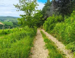 Aste giudiziarie immobiliari online - 9.0