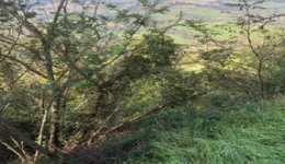 Aste giudiziarie immobiliari online - 5.0