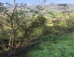 Aste giudiziarie immobiliari online - 5.0