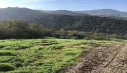 Aste giudiziarie immobiliari online - 8.0