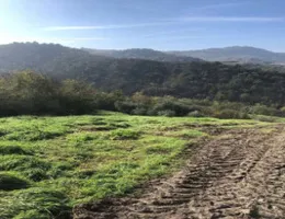 Aste giudiziarie immobiliari online - 8.0