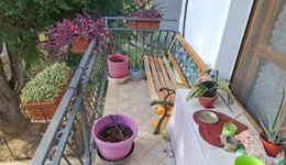 Aste giudiziarie immobiliari online - 9.0