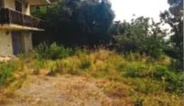 Aste giudiziarie immobiliari online - 4.0