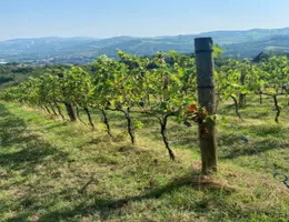 Aste giudiziarie immobiliari online - 5.0