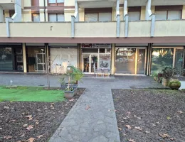 Aste giudiziarie immobiliari online - 12.0