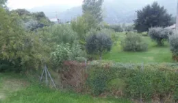 Aste giudiziarie immobiliari online - 6.0