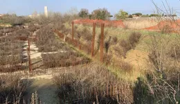 Aste giudiziarie immobiliari online - 11.0