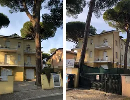 Aste giudiziarie immobiliari online - 9.0