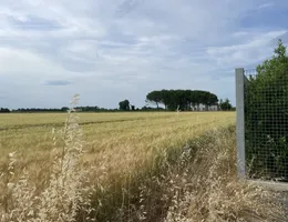 Aste giudiziarie immobiliari online - 7.0