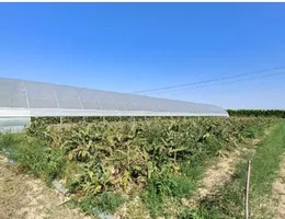 Aste giudiziarie immobiliari online - 1.0