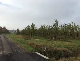 Aste giudiziarie immobiliari online - 12.0