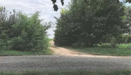 Aste giudiziarie immobiliari online - 9.0