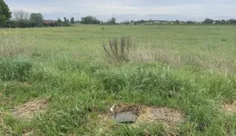 Aste giudiziarie immobiliari online - 7.0