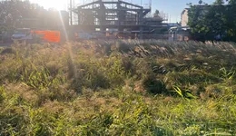 Aste giudiziarie immobiliari online - 7.0