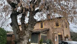 Aste giudiziarie immobiliari online - 12.0